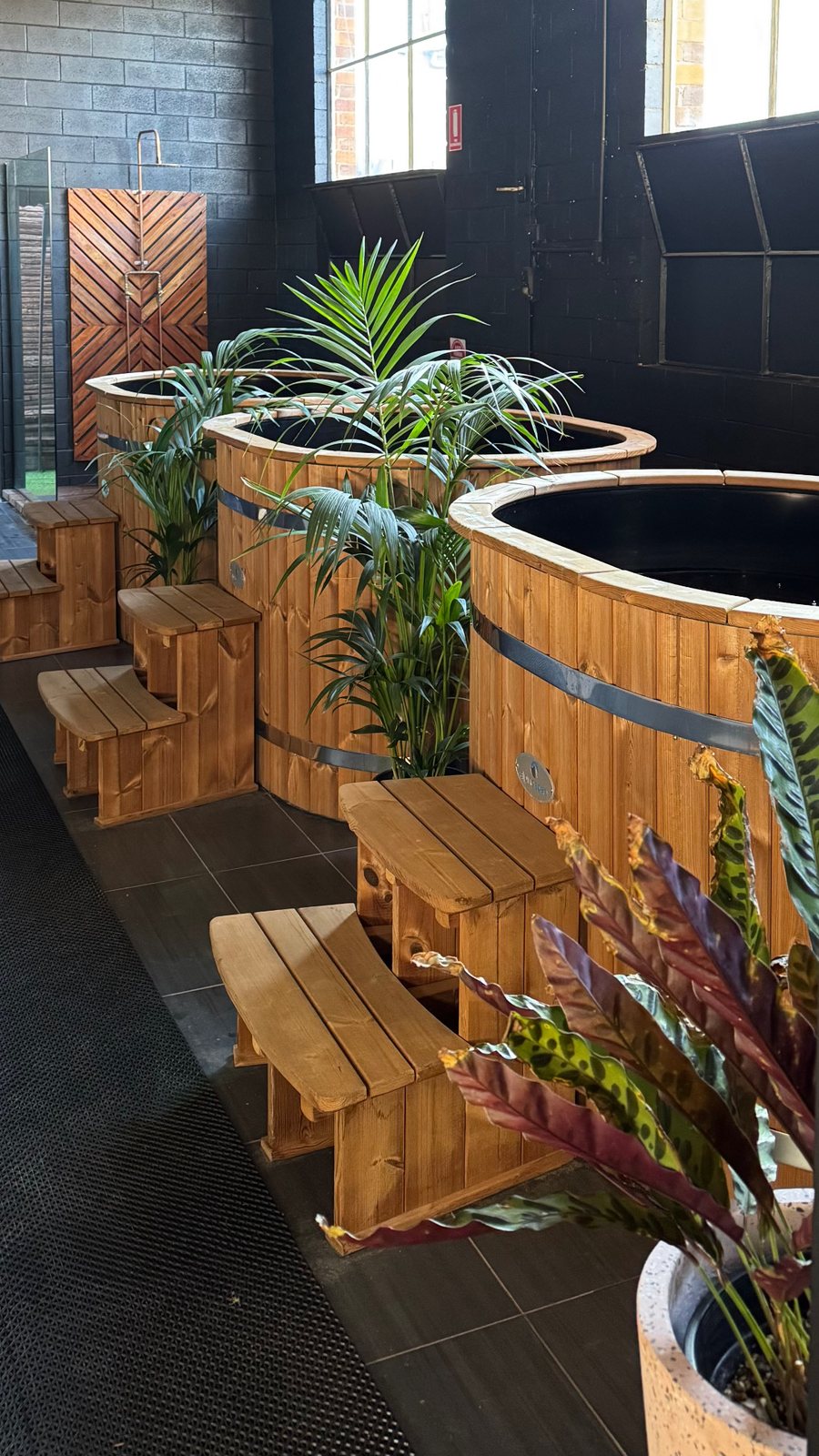 Timber cold plunge tubs among tropical plants
